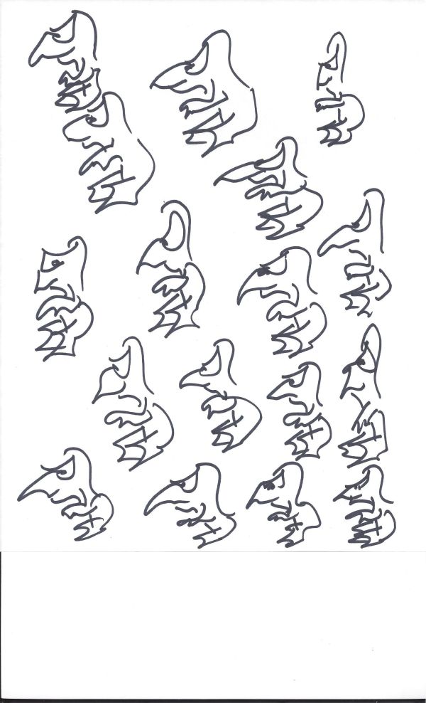 many birds